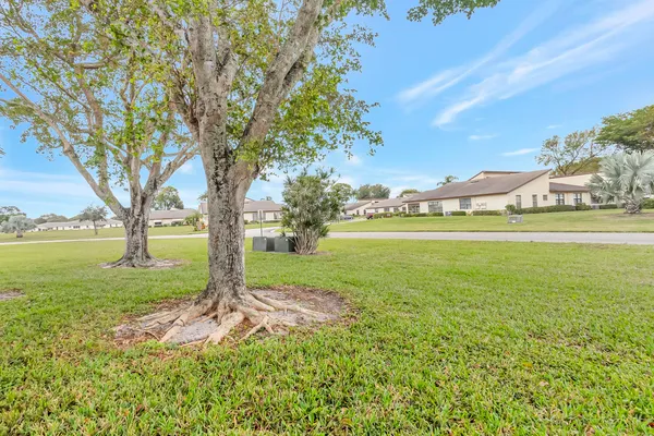 a view of yard with tree and green space
