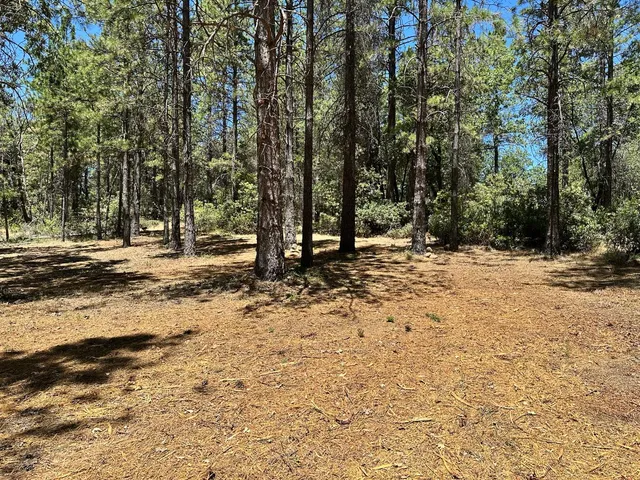 a view of outdoor space with trees