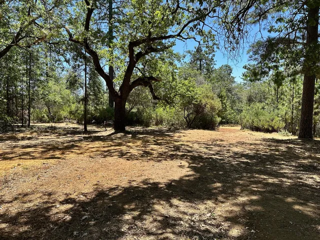 a view of outdoor space with trees