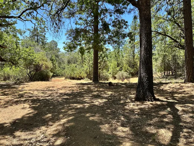a view of outdoor space with trees