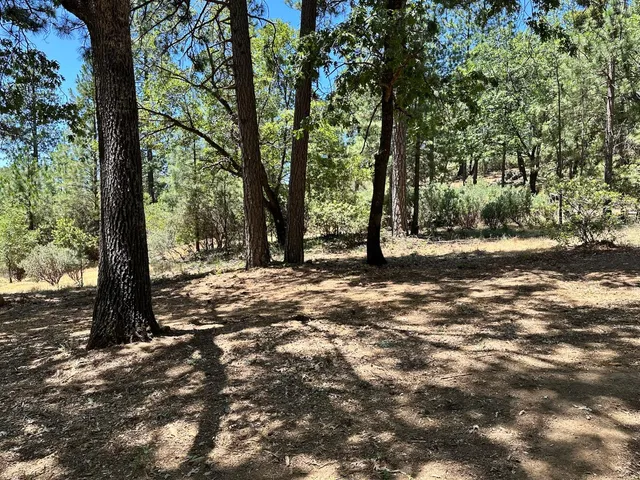 a view of outdoor space with trees