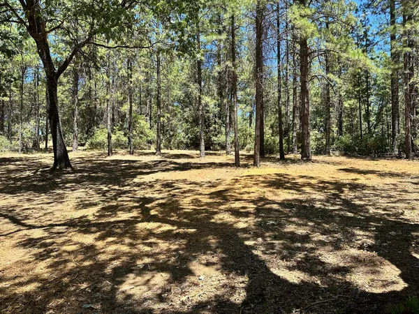 a view of outdoor space with trees