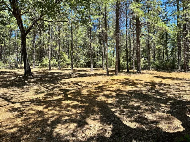 a view of outdoor space with trees