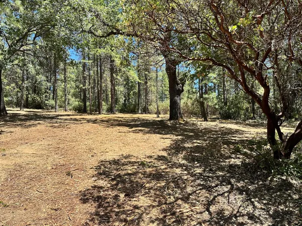 a view of outdoor space with trees