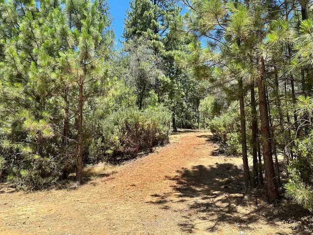 a view of a yard covered with snow