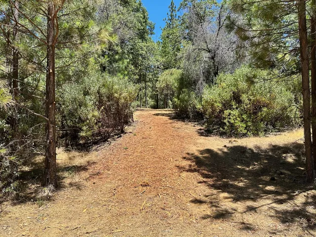a view of a yard with trees