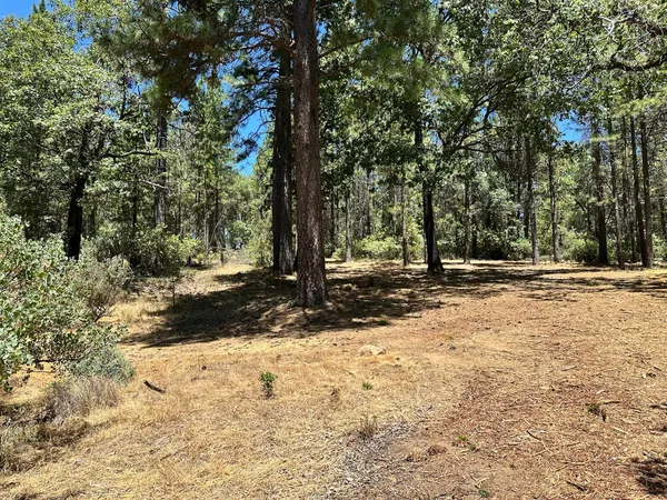 a view of outdoor space with trees