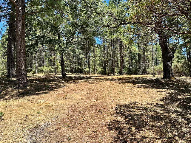 a view of outdoor space with trees