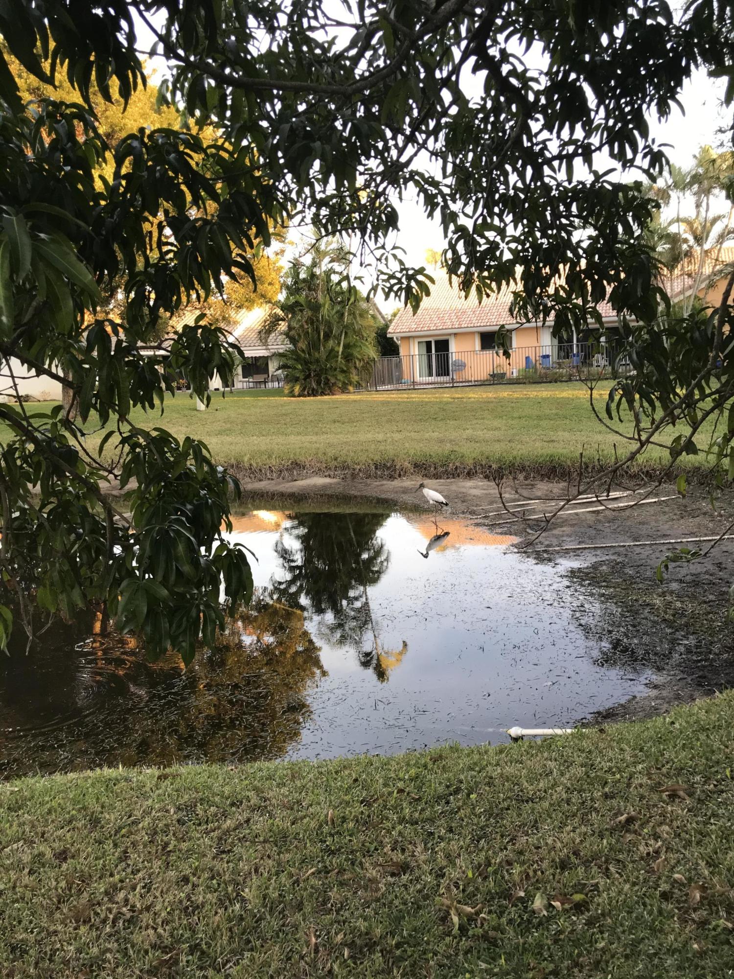 9693 El Clair Ranch Road Boynton Beach, FL 33437 - Photo 3 of 9 Rear yard View