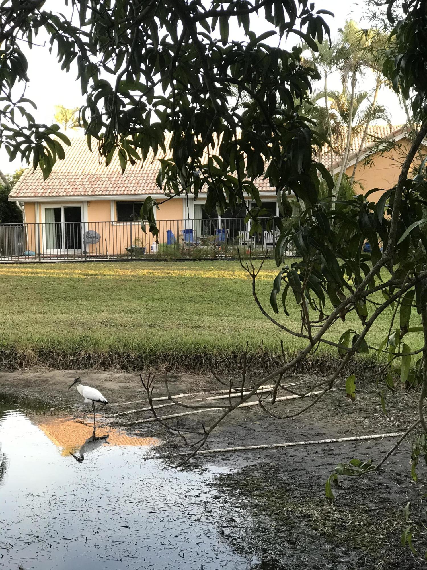 9693 El Clair Ranch Road Boynton Beach, FL 33437 - Photo 4 of 9 Stork feeding at lake