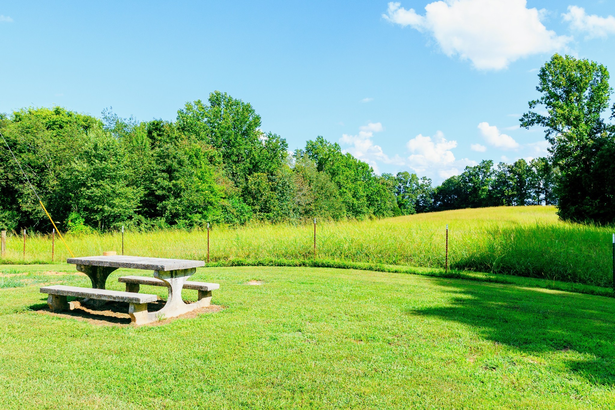 3923 Buckeye Road Erin, TN 37061 - Photo 28 of 31 Gallery Image 28