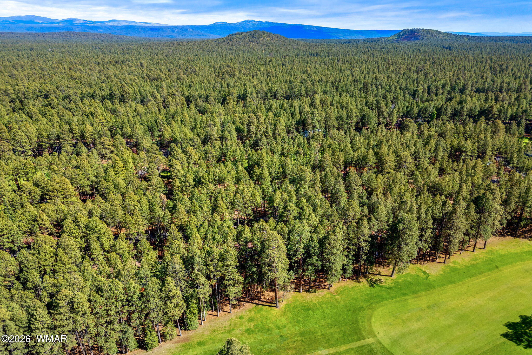 7456 Geronimo Road Pinetop, AZ 85935 - Photo 32 of 35 7456GeronimoRd-Pinetop-AZ-33
