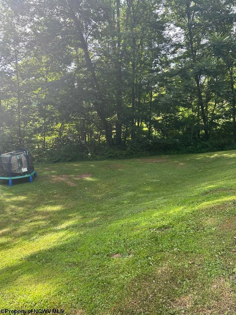 8694 Clarksburg Road Volga, WV 26238 - Photo 8 of 20 Gallery Image 8