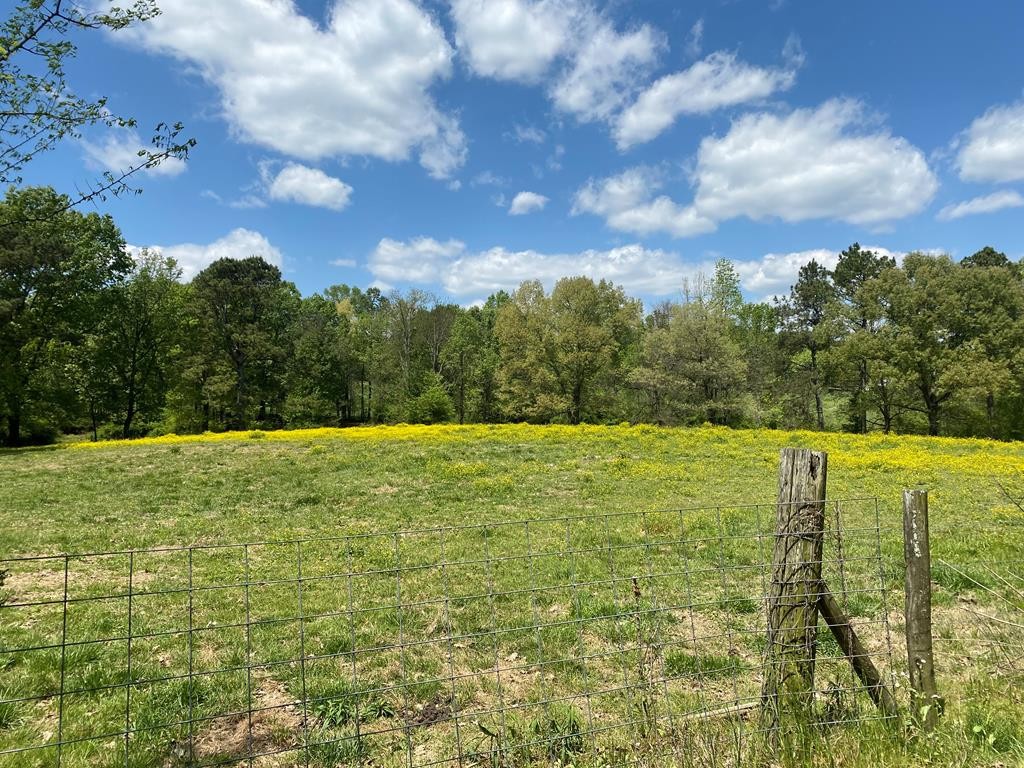 410 Curtis Road Cleveland, TN 37323 - Photo 5 of 23 a view of a yard