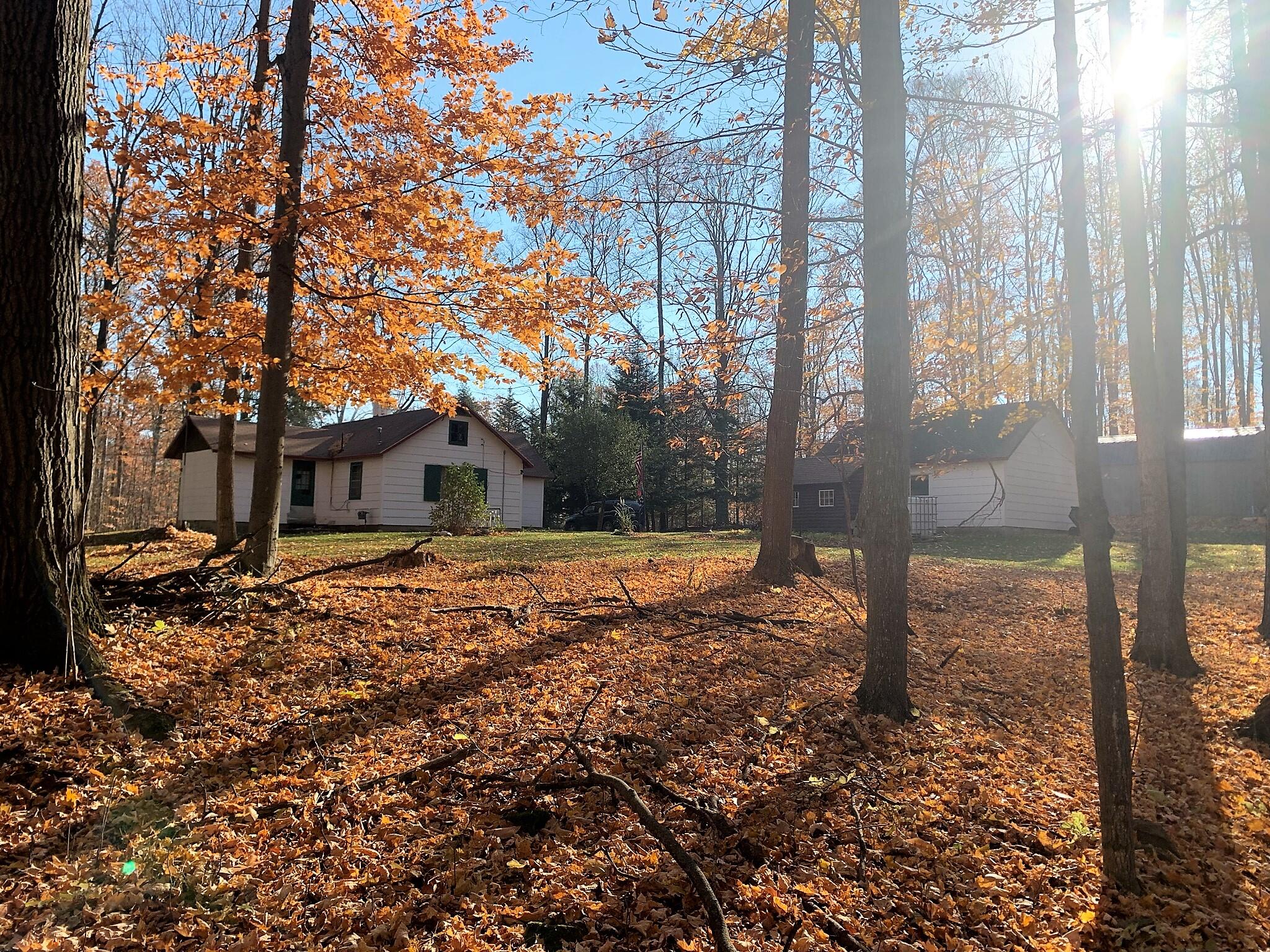 7916 Klein Road Hillman, MI 49746 - Photo 26 of 32 Gallery Image 26