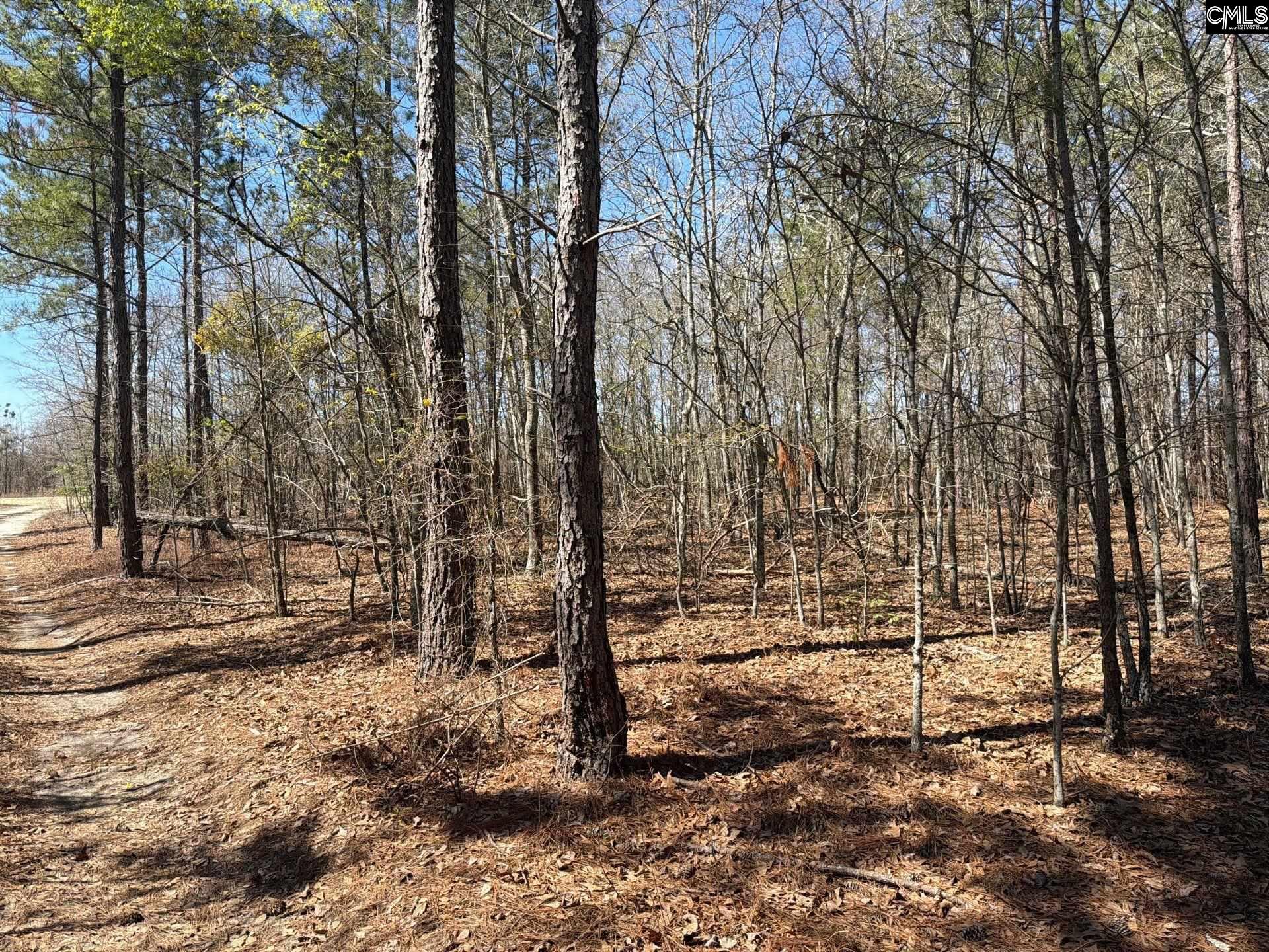 9 Boise Cascade Road, Unit BHL 9 Bethune, SC 29009 - Photo 4 of 44