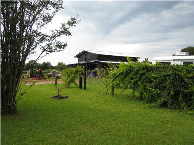 1517 Hester Church Road Baker, FL 32531 - Photo 13 of 28 a view of an outdoor space and yard