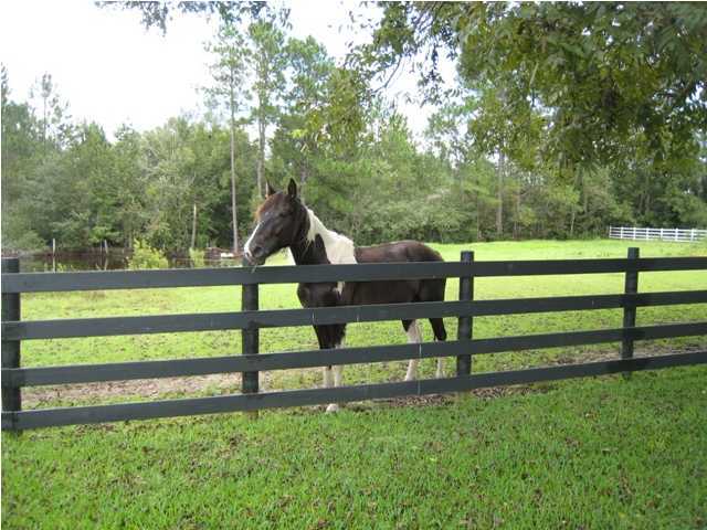 1517 Hester Church Road Baker, FL 32531 - Photo 15 of 28 a view of park and bench