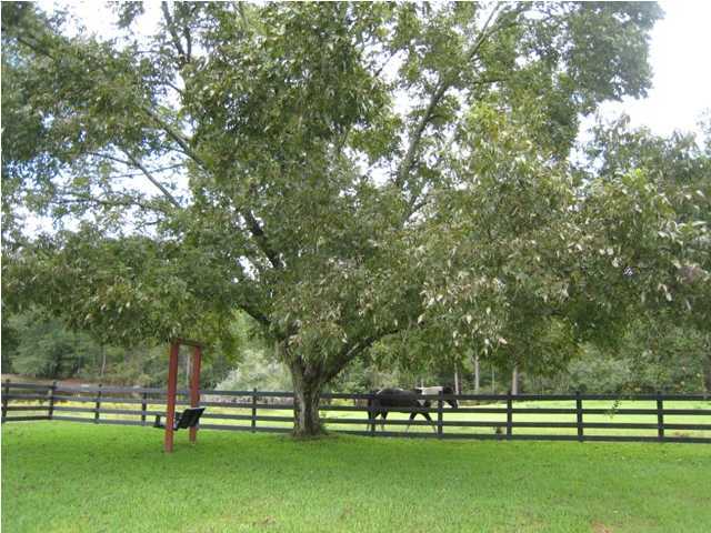 1517 Hester Church Road Baker, FL 32531 - Photo 16 of 28 a park with lots of trees