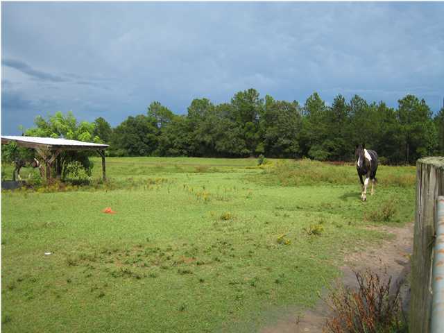 1517 Hester Church Road Baker, FL 32531 - Photo 19 of 28 a view of outdoor space and yard