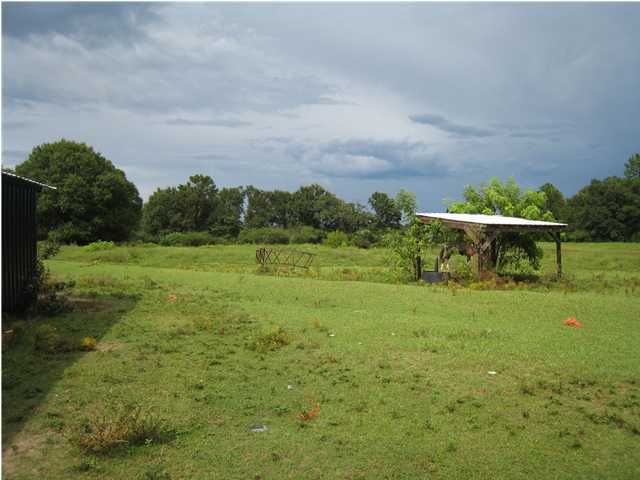 1517 Hester Church Road Baker, FL 32531 - Photo 22 of 28 a view of a backyard