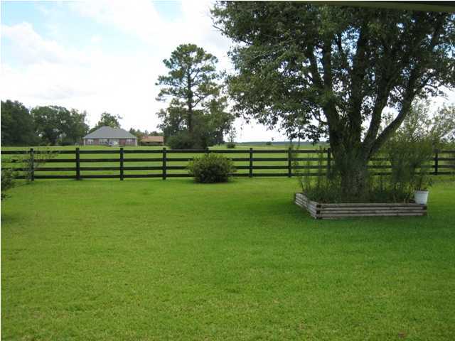 1517 Hester Church Road Baker, FL 32531 - Photo 25 of 28 a view of a park with large trees