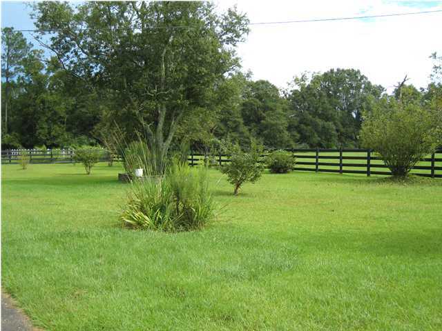 1517 Hester Church Road Baker, FL 32531 - Photo 27 of 28 a view of a park with a tree