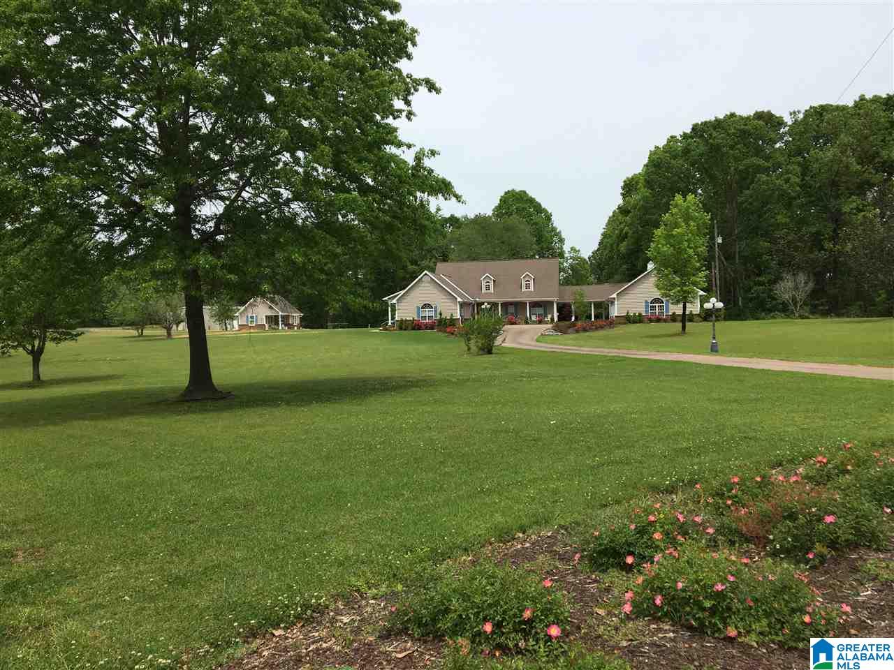 1699 Stella Lockard Road Empire, AL 35063 - Photo 1 of 13