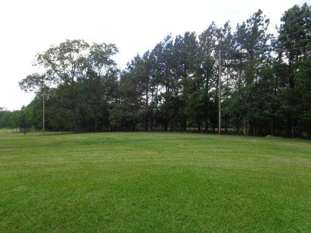 3023 Dees Road Crystal Springs, MS 39059 - Photo 28 of 46 Photo 28