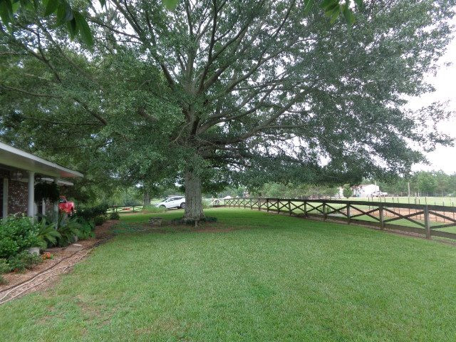 3023 Dees Road Crystal Springs, MS 39059 - Photo 3 of 46 Photo 3