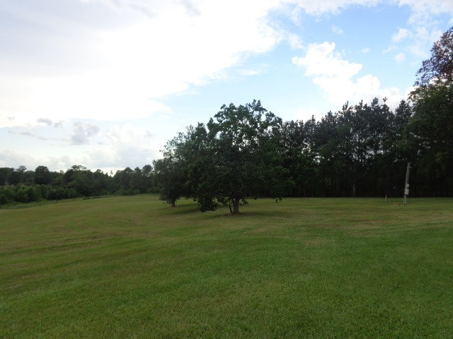 3023 Dees Road Crystal Springs, MS 39059 - Photo 31 of 46 Photo 32
