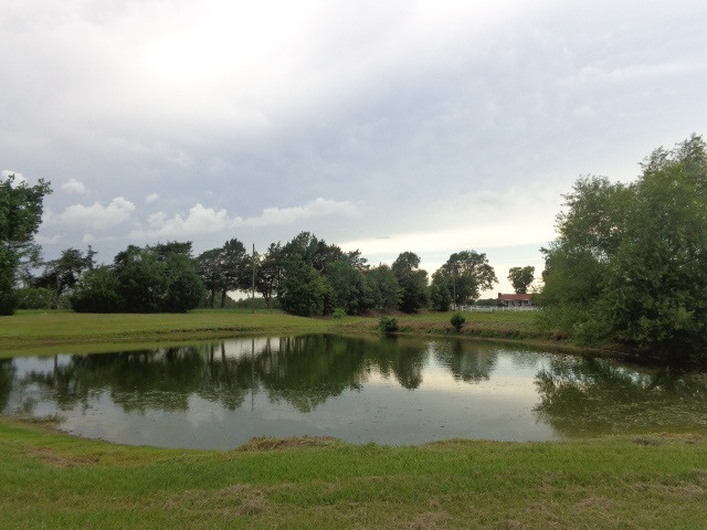 3023 Dees Road Crystal Springs, MS 39059 - Photo 39 of 46 Photo 40