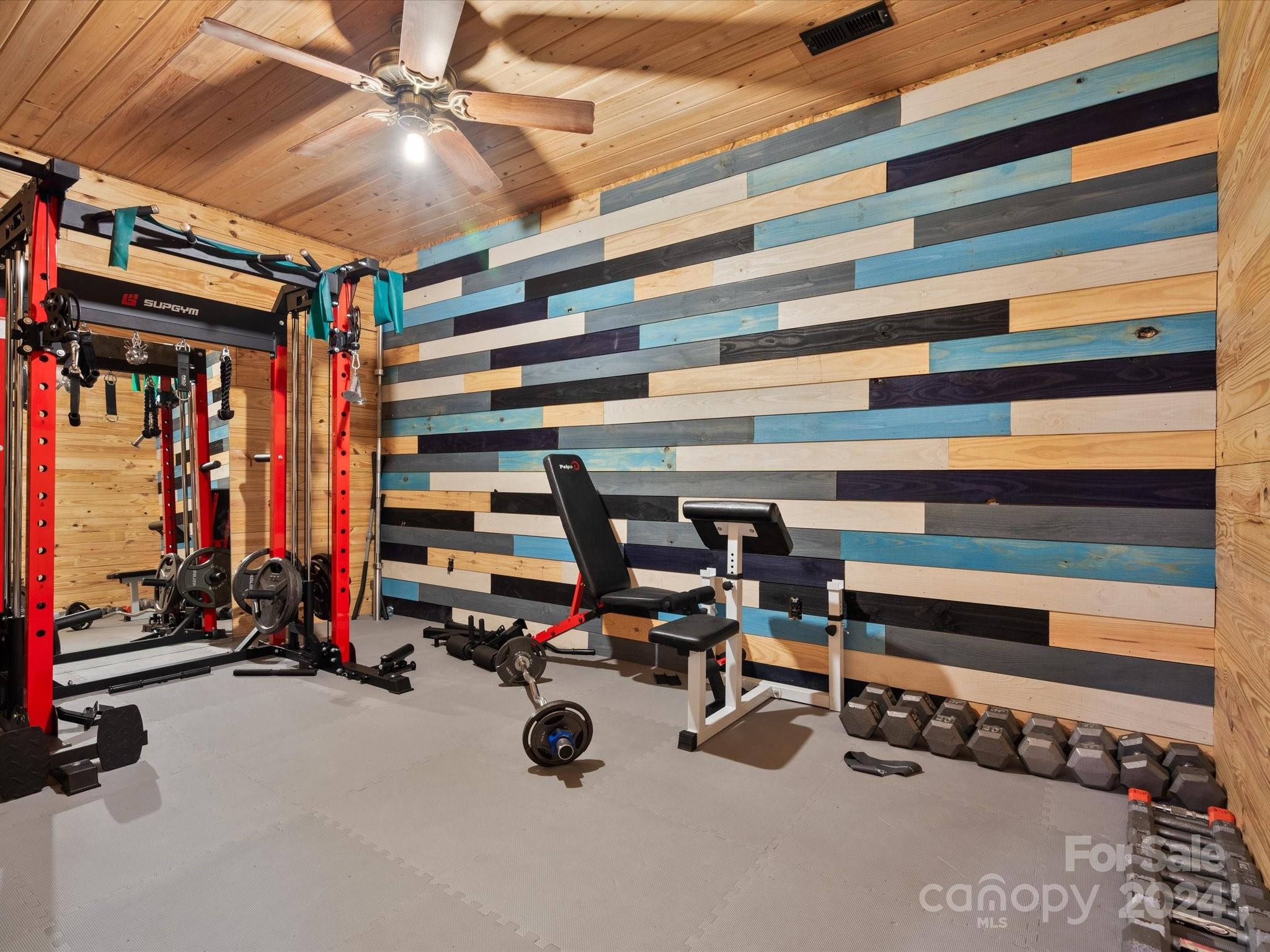 674 Ormond Road York, SC 29745 - Photo 26 of 48 a view of a room with gym equipment