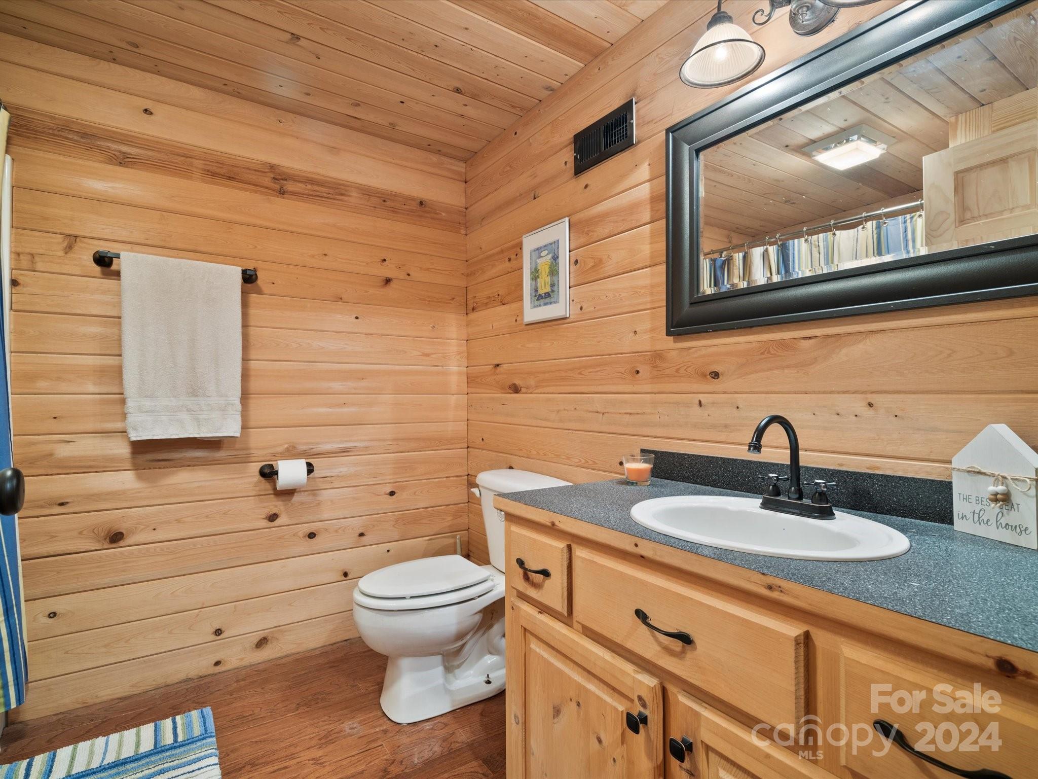 674 Ormond Road York, SC 29745 - Photo 27 of 48 a bathroom with a sink a toilet and mirror