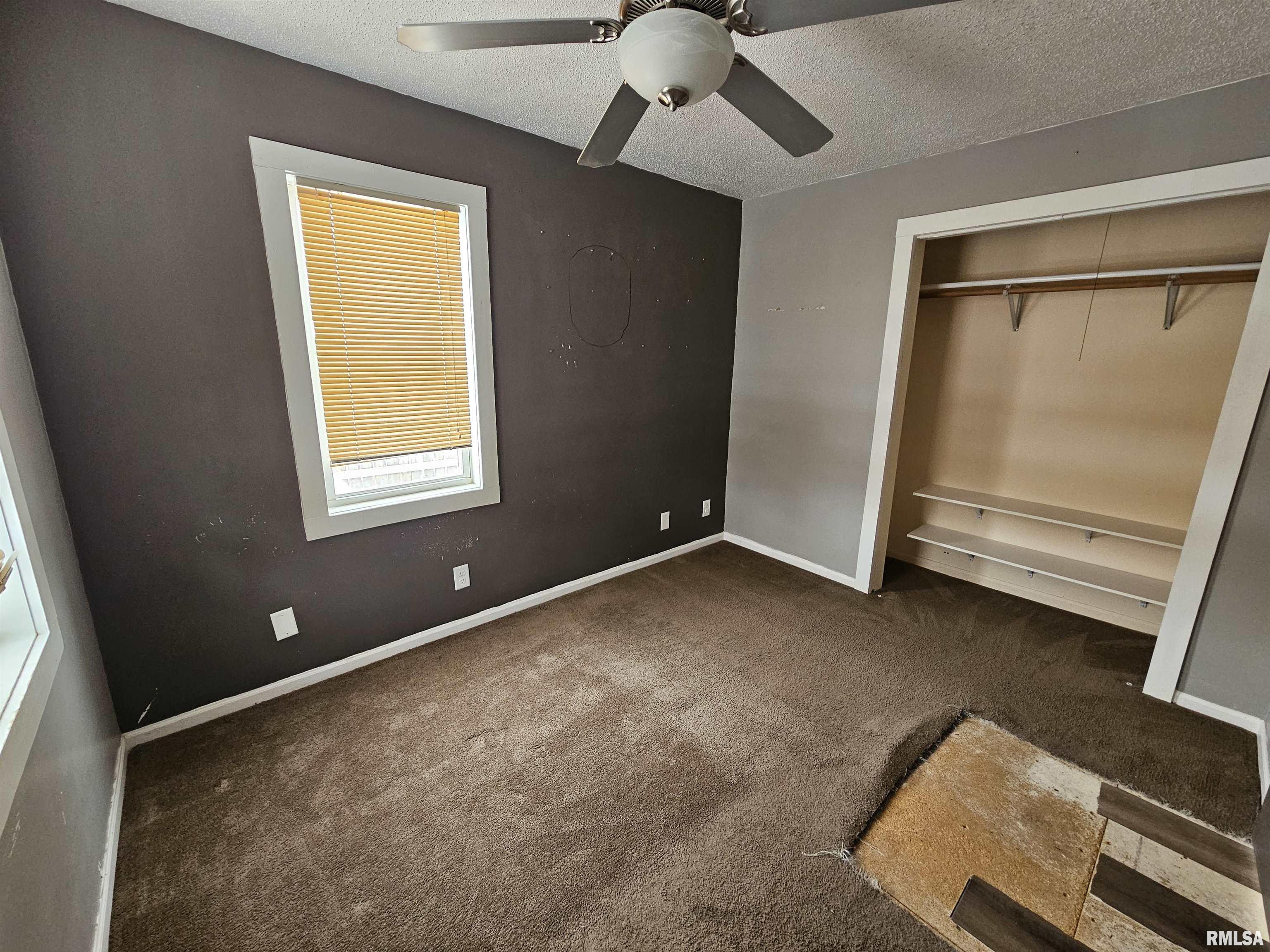 1117 Chestnut Street Buffalo, IA 52728 - Photo 6 of 10 Gallery Image 6