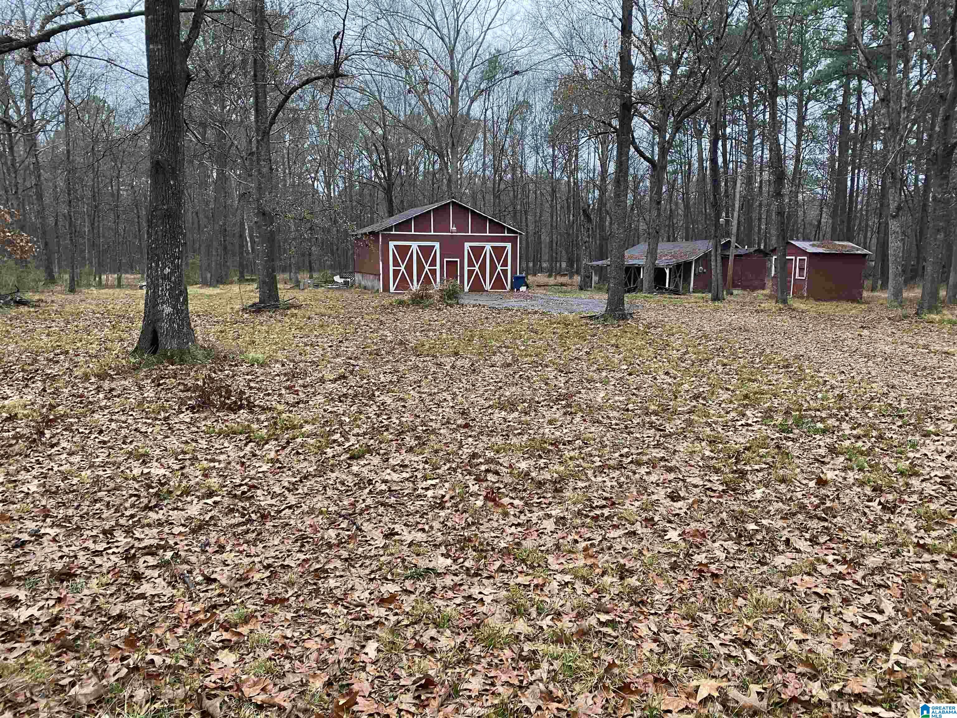 64 Bannerman Road Bessemer, AL 35022 - Photo 1 of 2 Gallery Image 1