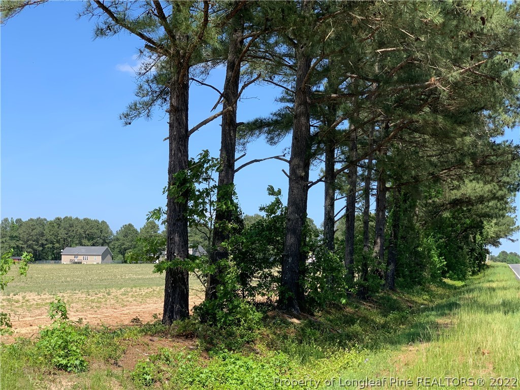 Brown Road Lillington, NC 27546 - Photo 3 of 6 Gallery Image 3