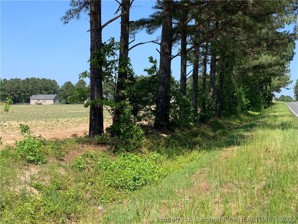 Brown Road Lillington, NC 27546 - Photo 4 of 6 Gallery Image 4