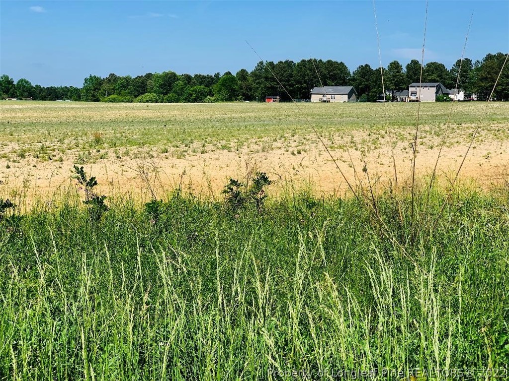 Brown Road Lillington, NC 27546 - Photo 5 of 6 Gallery Image 5