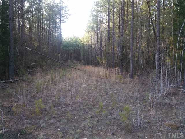 Pixley Pritchard Road Timberlake, NC 27583 - Photo 2 of 6 Photo 2