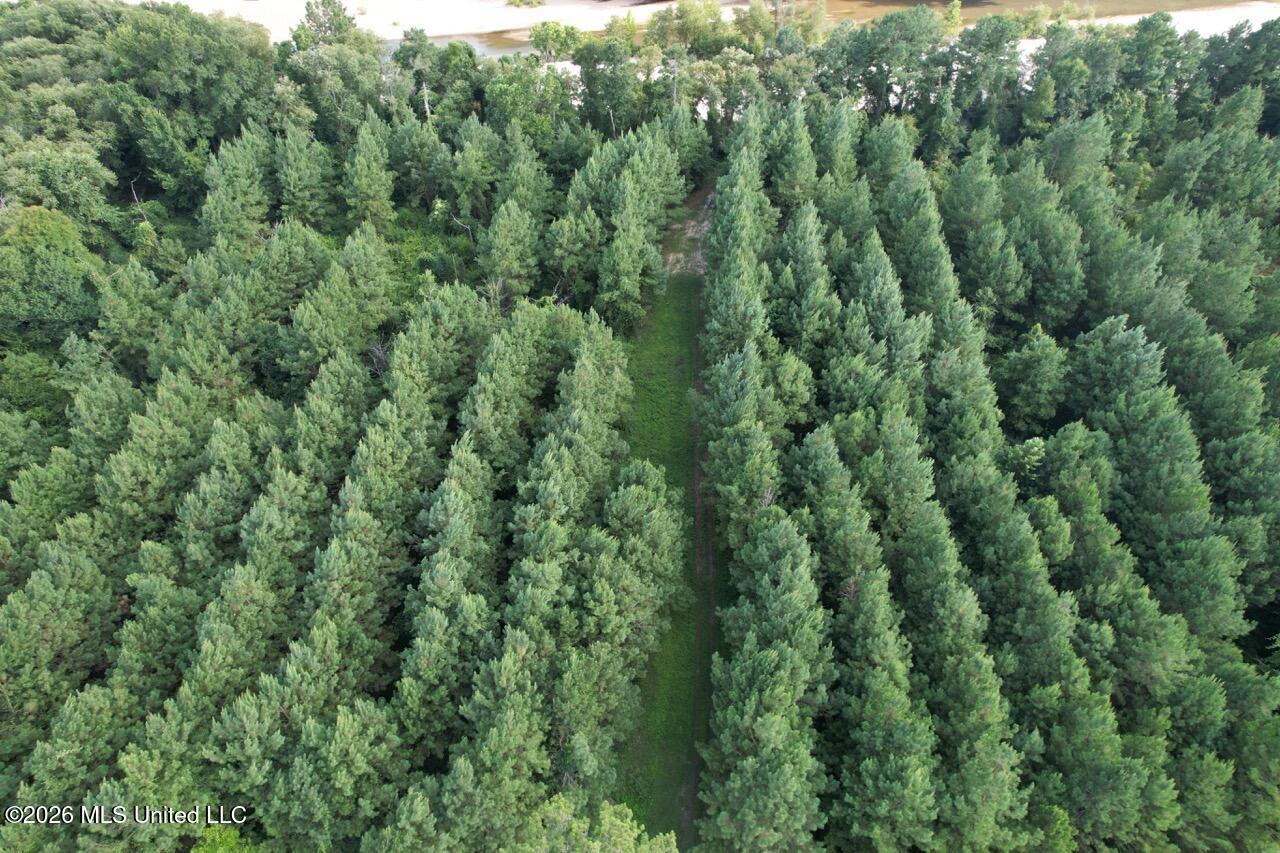 Old Oldenburg Road Meadville, MS 39653 - Photo 9 of 60 DJI_0758 Large