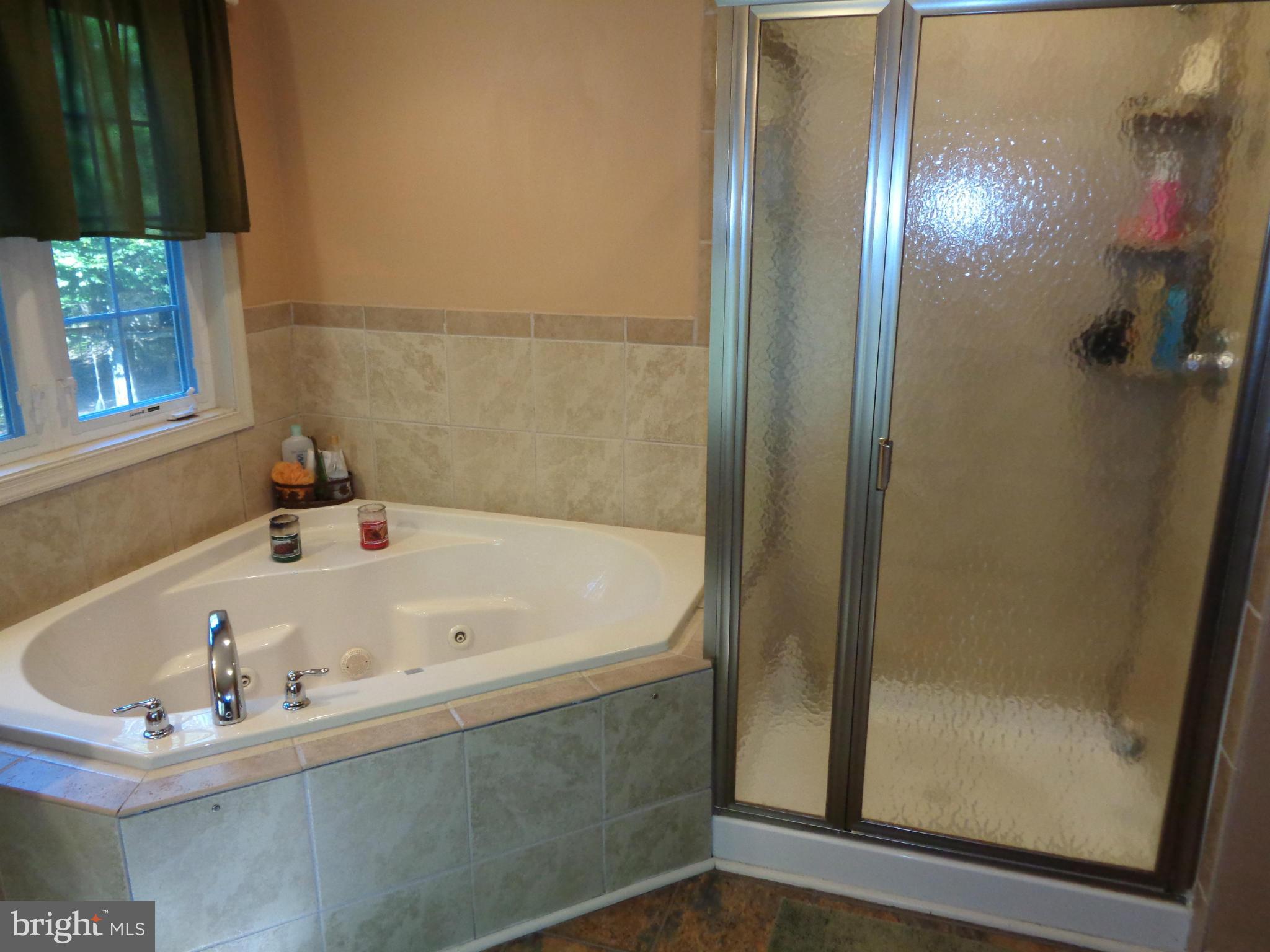 11985 Steinhauser Road Newburg, MD 20664 - Photo 14 of 30 Bath (Master)