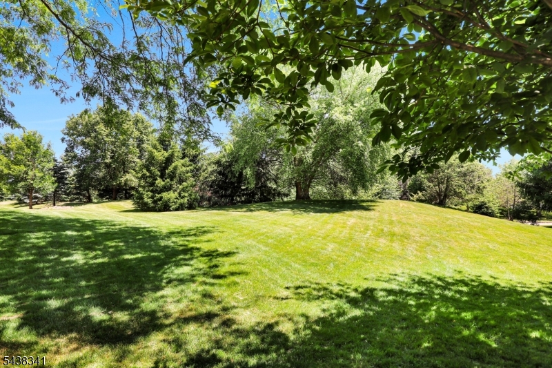 10 Raleigh Court Bernards, NJ 07920 - Photo 40 of 46