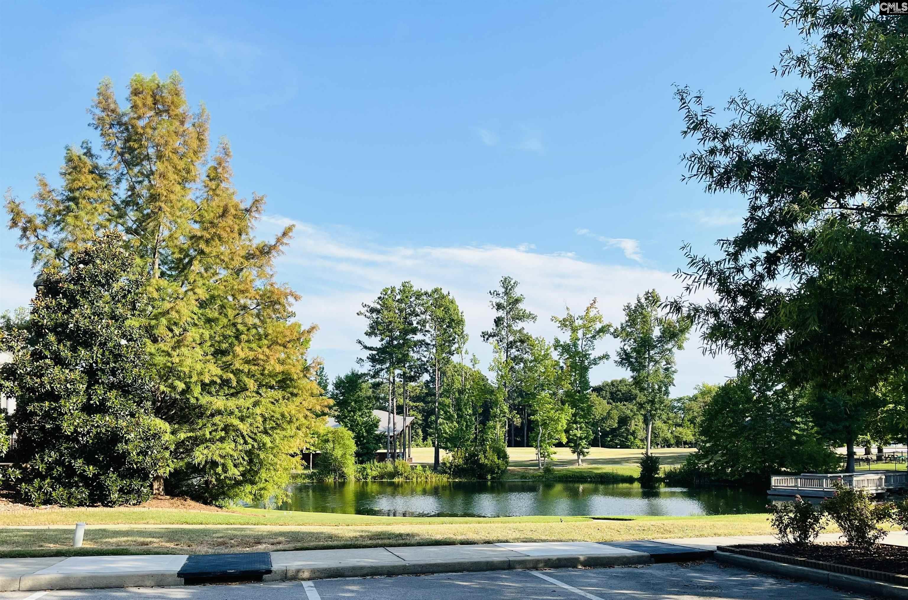 3073 Hanging Valley Road Blythewood, SC 29016 - Photo 56 of 58 Gallery Image 56