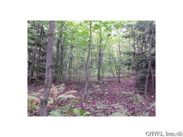 Lot 2 Bull Run Road Altmar, NY 13302 - Photo 4 of 6