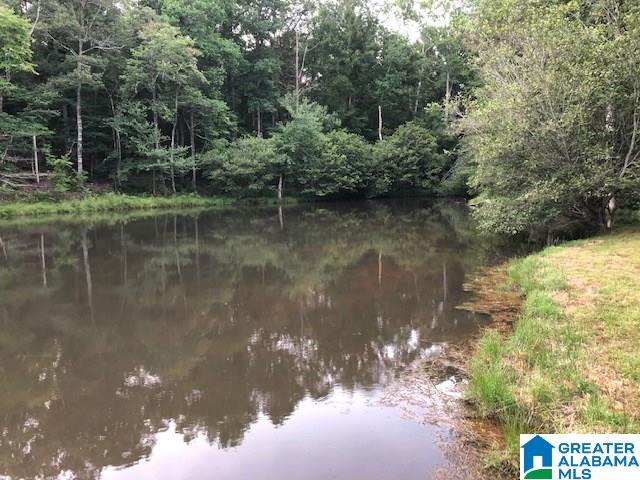 577 Wright Way Drive Wedowee, AL 36278 - Photo 38 of 39