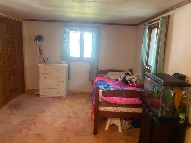 63 Pineland Park Road Milton, NH 03851 - Photo 23 of 27 Gallery Image 23