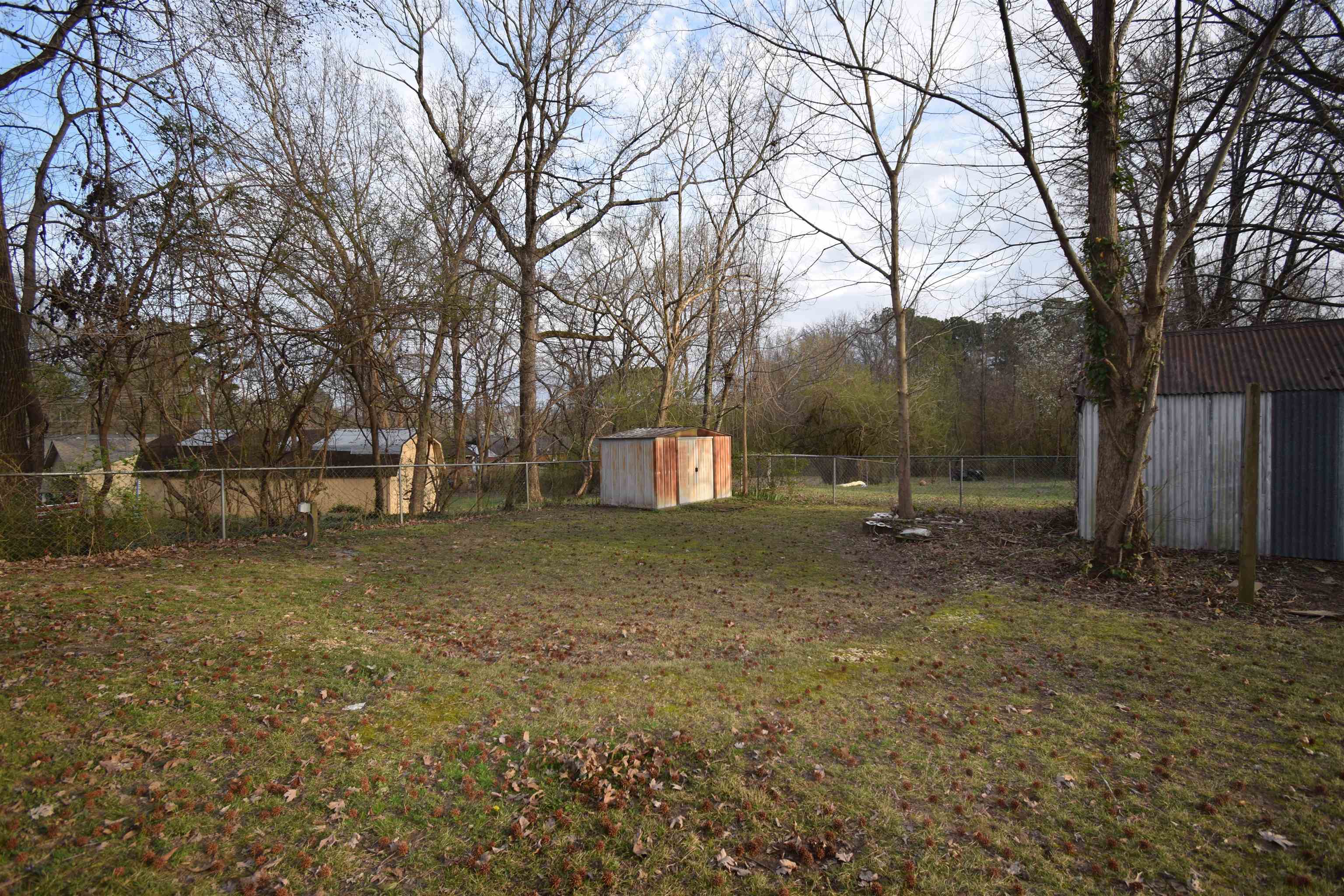 50 Webber Street Jackson, TN 38301 - Photo 2 of 13 a backyard of a house with lots of green space