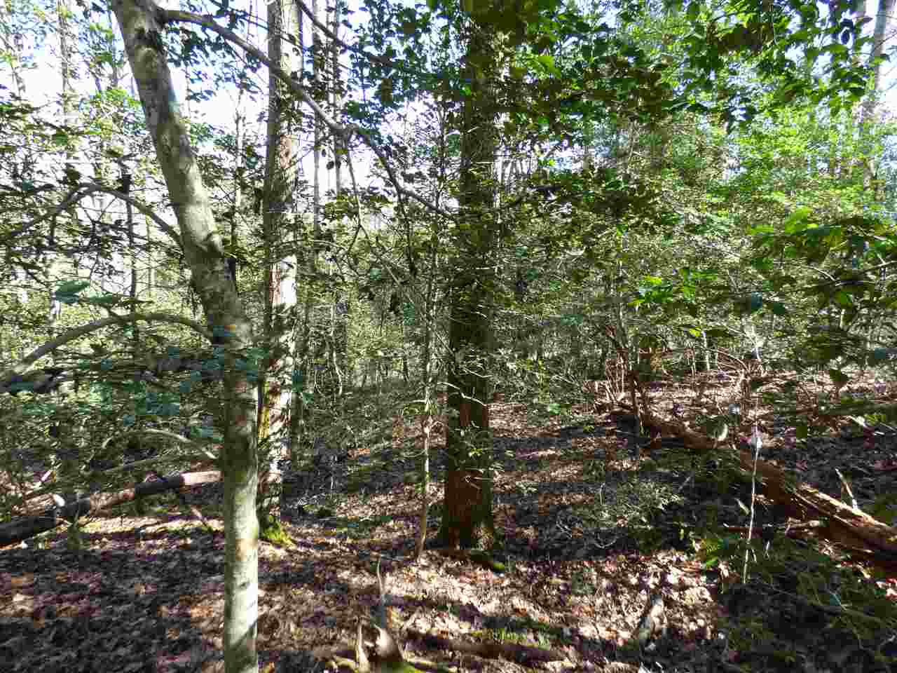 115 Forest Road Woodruff, SC 29388 - Photo 18 of 32 Gallery Image 18
