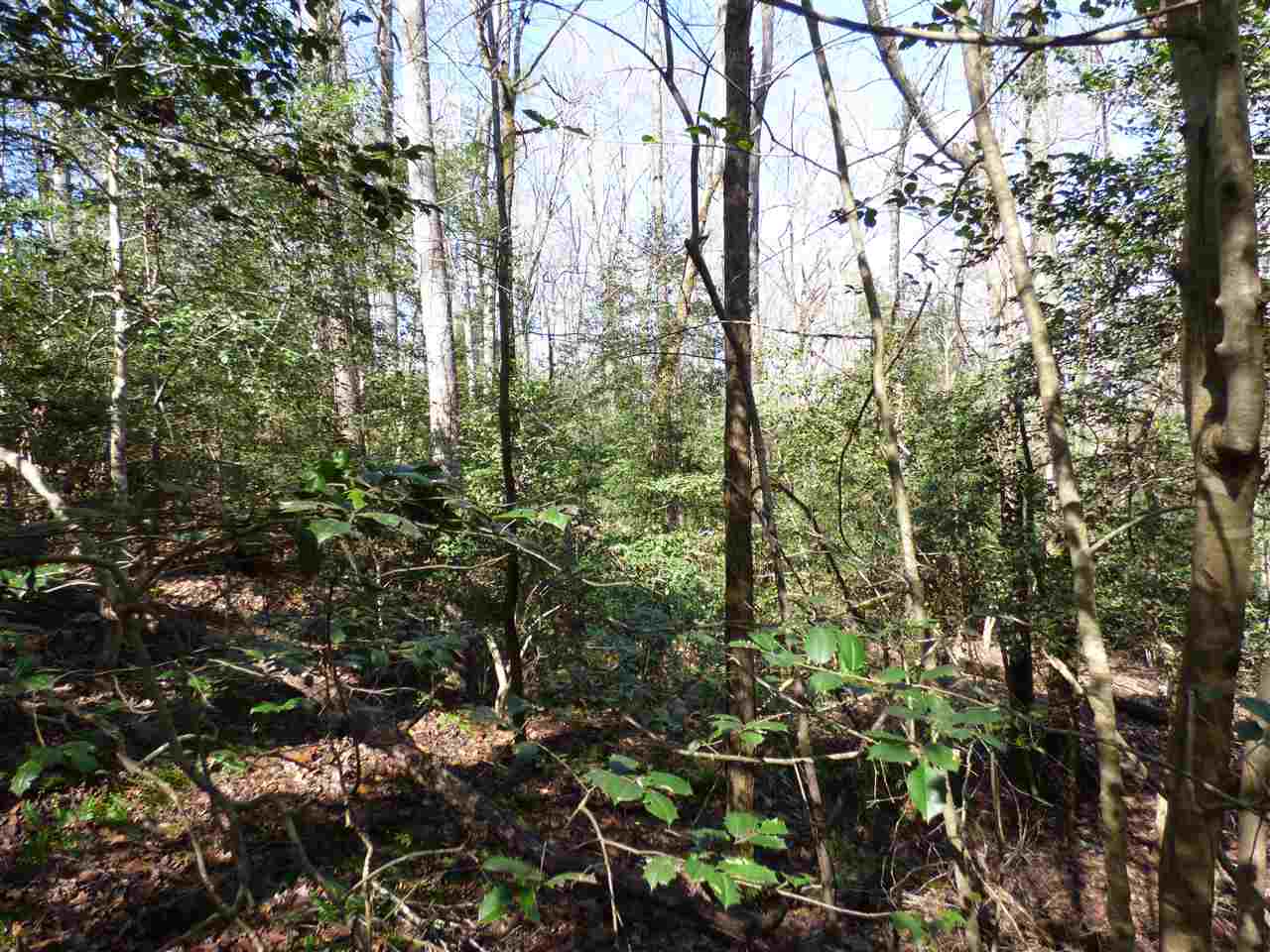 115 Forest Road Woodruff, SC 29388 - Photo 20 of 32 Gallery Image 20